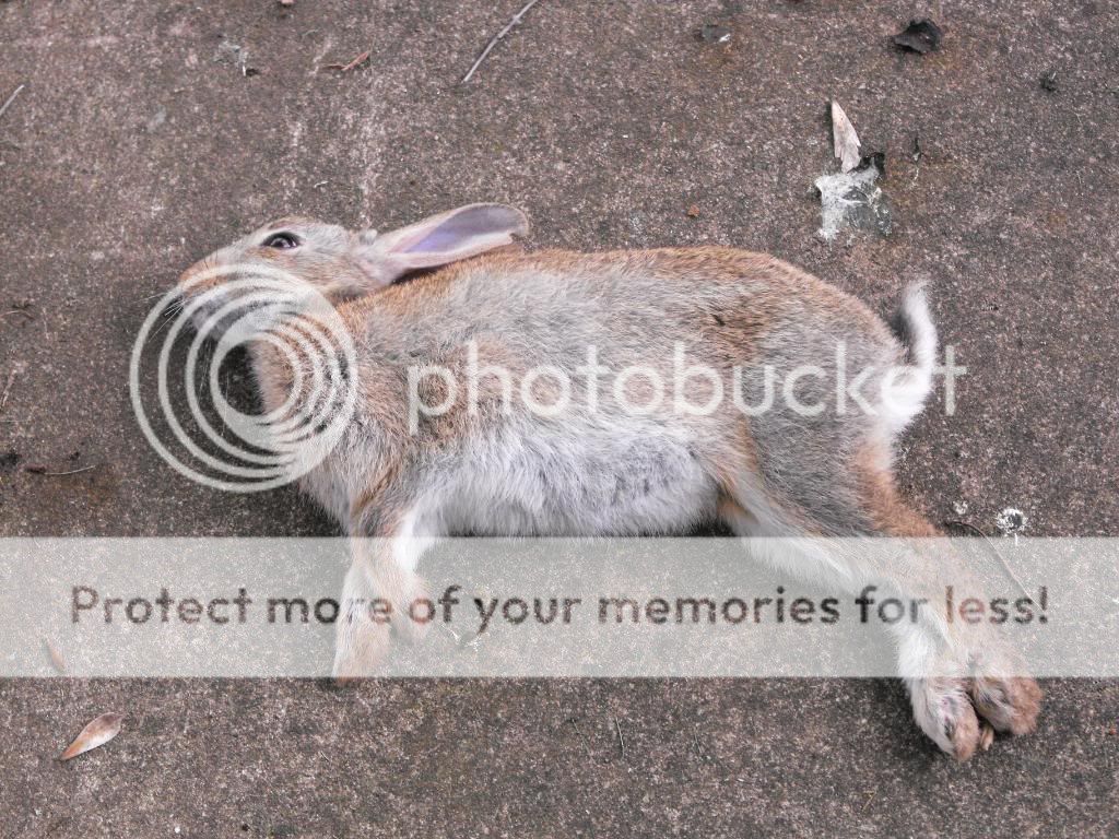2009_06190004.jpg