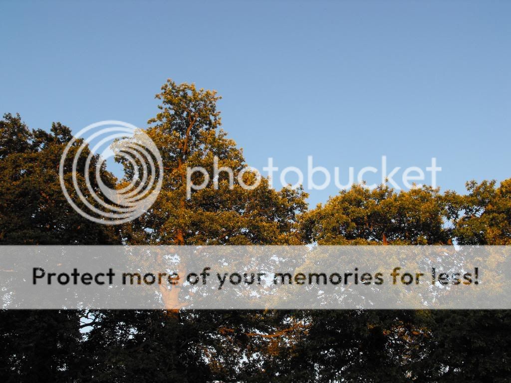 DSCF1206.jpg