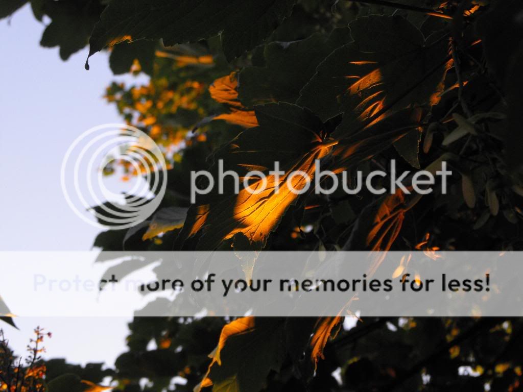 DSCF1211.jpg