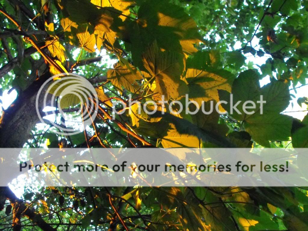 DSCF1216.jpg
