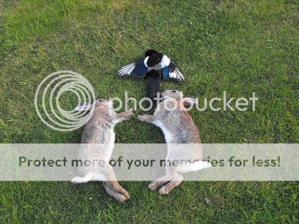 DSCF3630.jpg