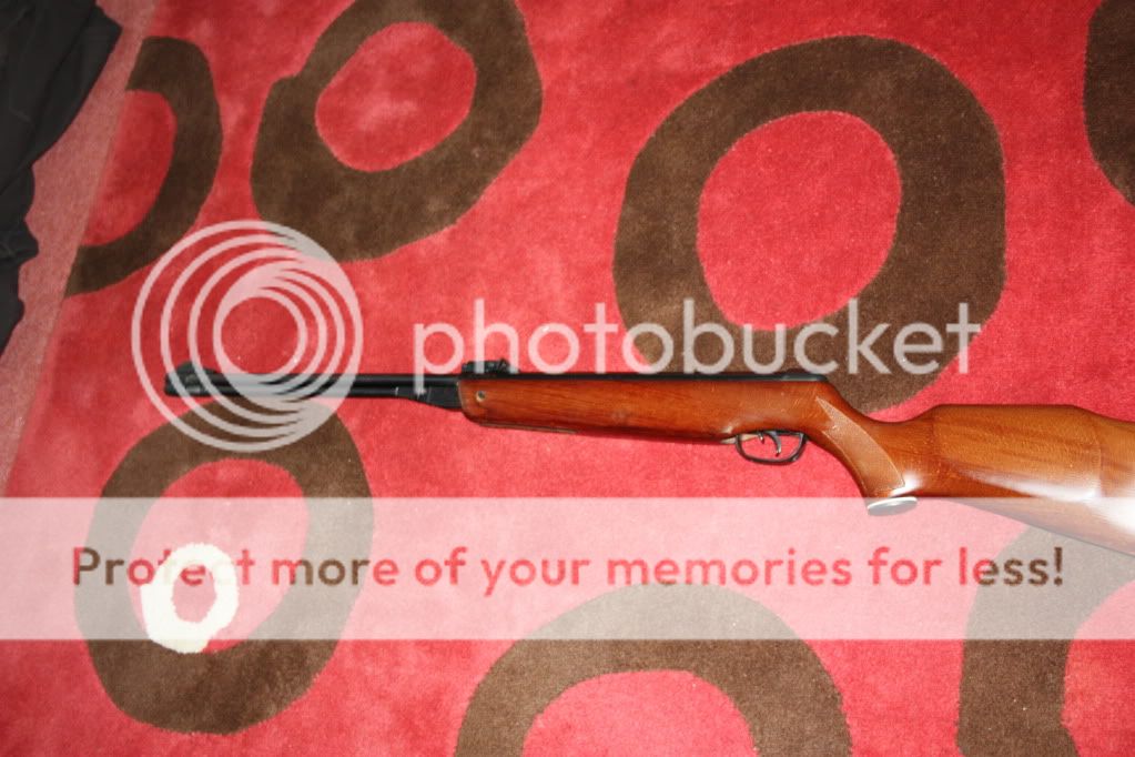 IMG_1785.jpg