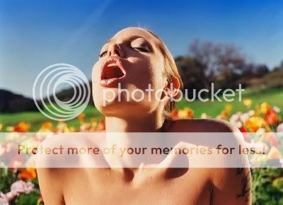 David Lachapelle, Jolie Pictures, Images and Photos