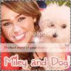 http://i387.photobucket.com/albums/oo315/skotikCZ/avatarwithmileyandog.jpg?t=1247478484 http://i387.photobucket.com/albums/oo315/skotikCZ/avatarwithmileyandog.jpg?t=1247478484