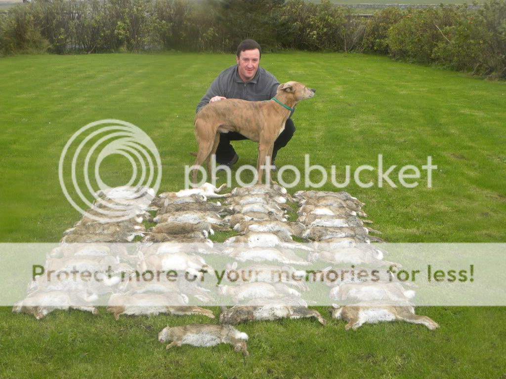 Picture2050_zps3bfd01d7.jpg