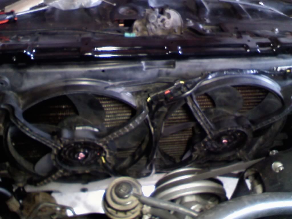 electric fan pics needed GBodyForum 19781988 GM A/GBody Community