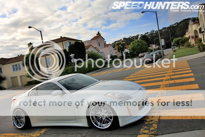 [Image: IMG_8696_crosswalk1.jpg]