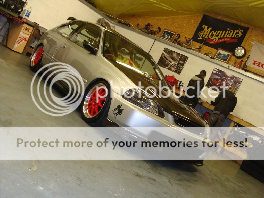 [Image: DSC01119.jpg]