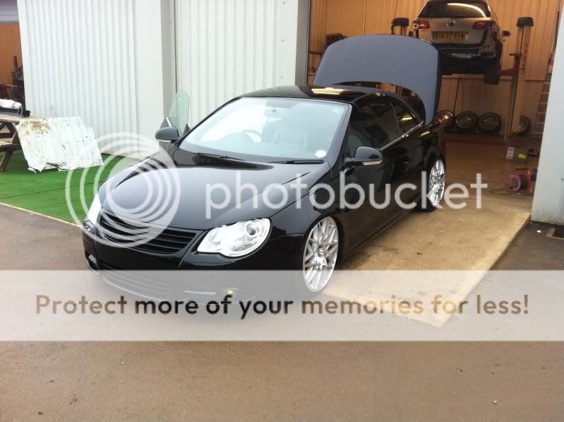 [Image: IMG_0116.jpg]