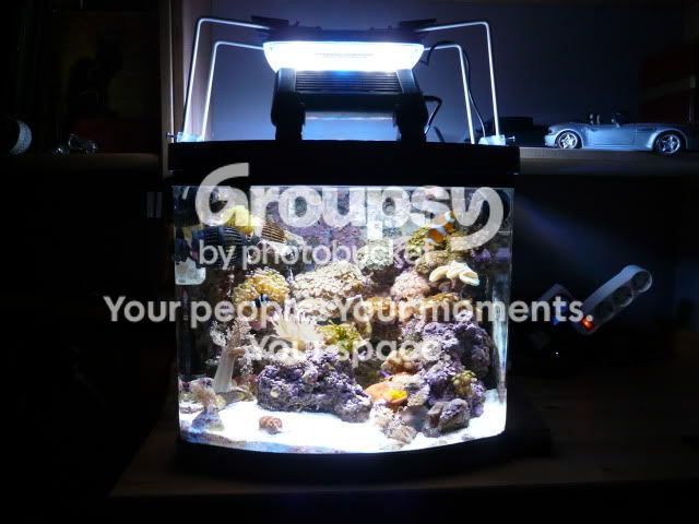 [TodoMarino.com] que tal esta de leds?