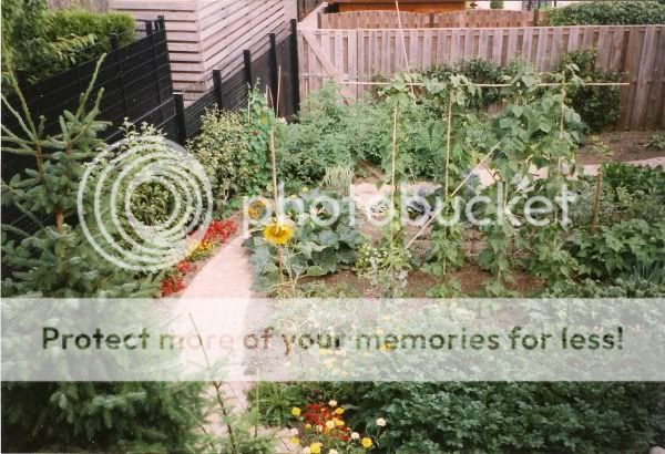tuin1.jpg