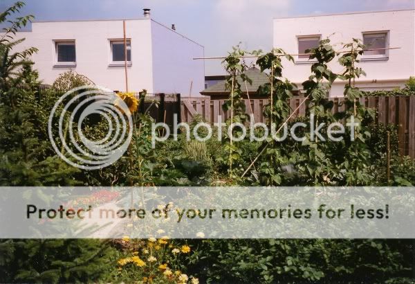 tuin2.jpg